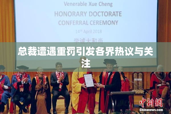总裁遭遇重罚引发各界热议与关注