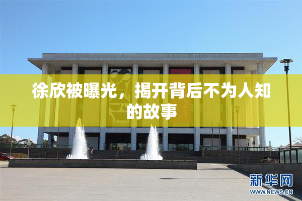 徐欣被曝光，揭开背后不为人知的故事