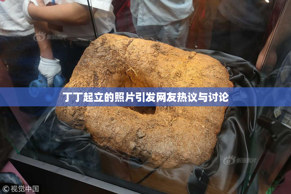 丁丁起立的照片引发网友热议与讨论