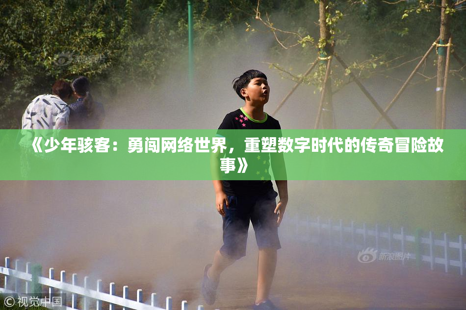 《少年骇客：勇闯网络世界，重塑数字时代的传奇冒险故事》