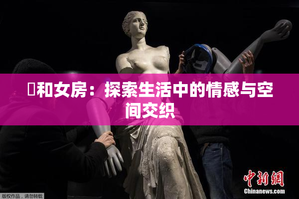 巜和女房：探索生活中的情感与空间交织