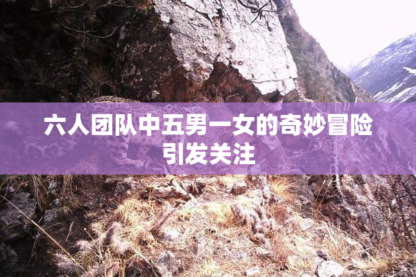 六人团队中五男一女的奇妙冒险引发关注