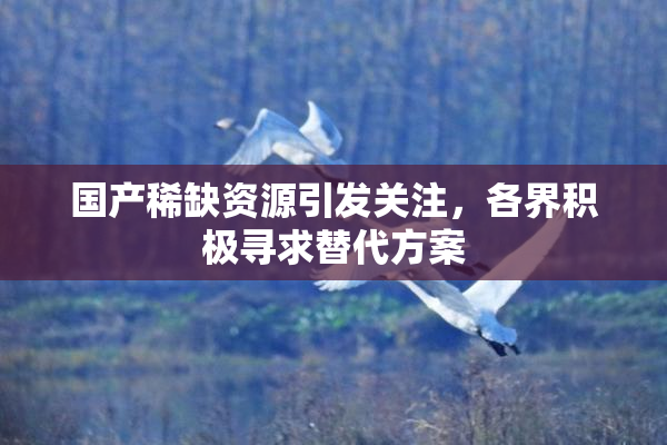国产稀缺资源引发关注，各界积极寻求替代方案