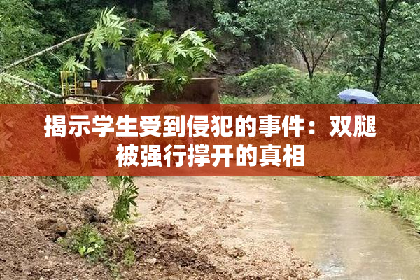 揭示学生受到侵犯的事件：双腿被强行撑开的真相