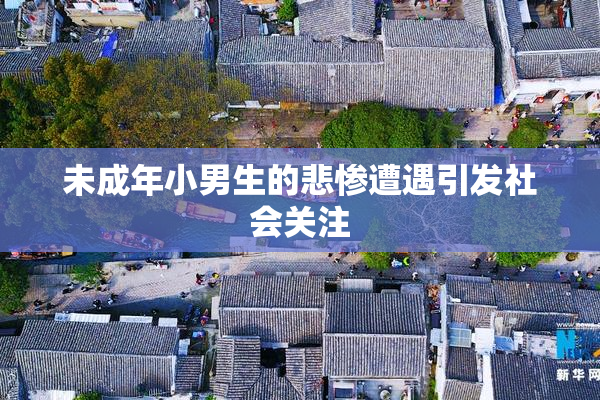 未成年小男生的悲惨遭遇引发社会关注