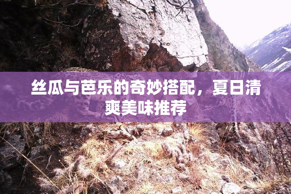 丝瓜与芭乐的奇妙搭配，夏日清爽美味推荐