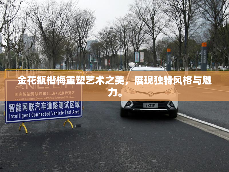 金花瓶楷梅重塑艺术之美，展现独特风格与魅力。