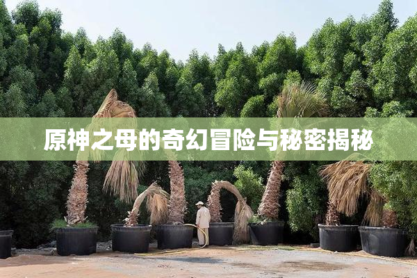 原神之母的奇幻冒险与秘密揭秘
