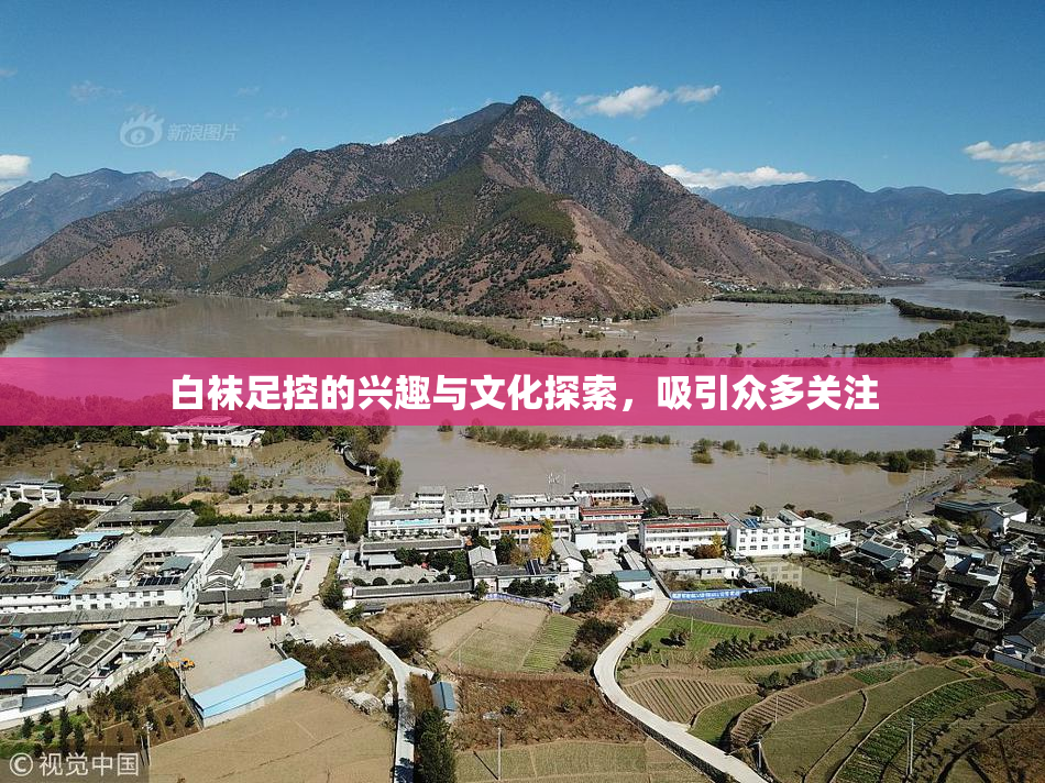 白袜足控的兴趣与文化探索，吸引众多关注
