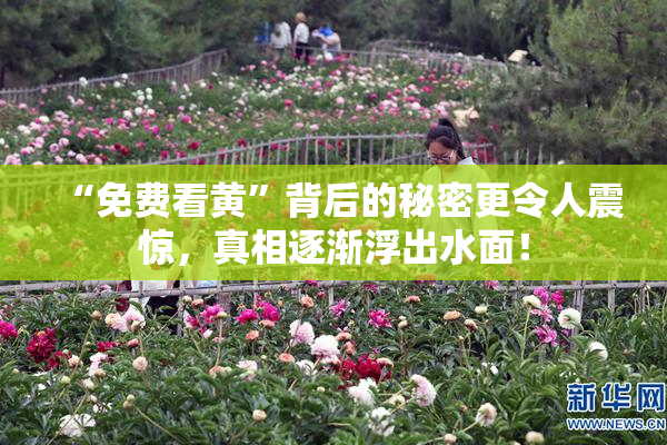 “免费看黄”背后的秘密更令人震惊，真相逐渐浮出水面！