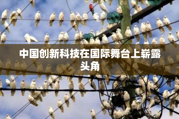 中国创新科技在国际舞台上崭露头角