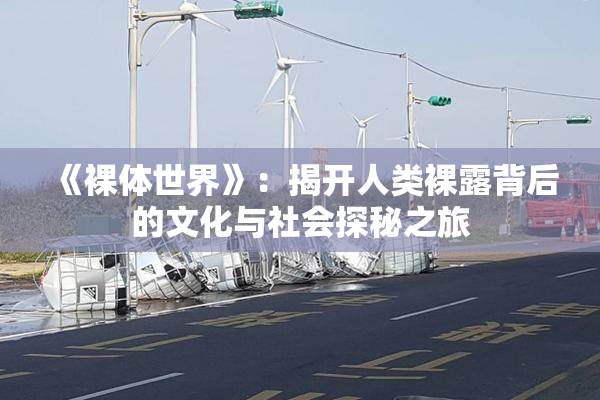 《裸体世界》：揭开人类裸露背后的文化与社会探秘之旅