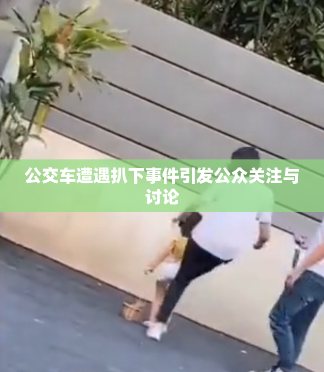 公交车遭遇扒下事件引发公众关注与讨论