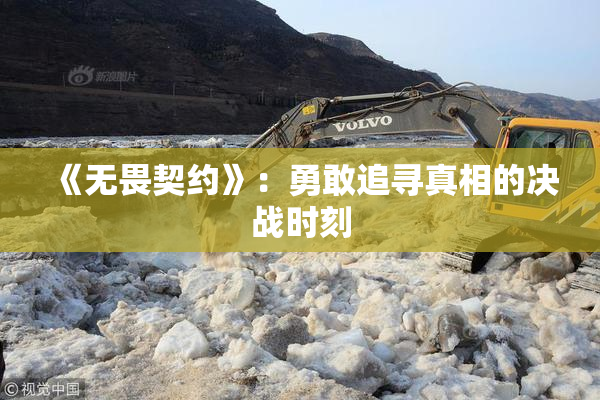 《无畏契约》：勇敢追寻真相的决战时刻