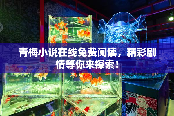 青梅小说在线免费阅读，精彩剧情等你来探索！