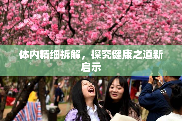 体内精细拆解，探究健康之道新启示