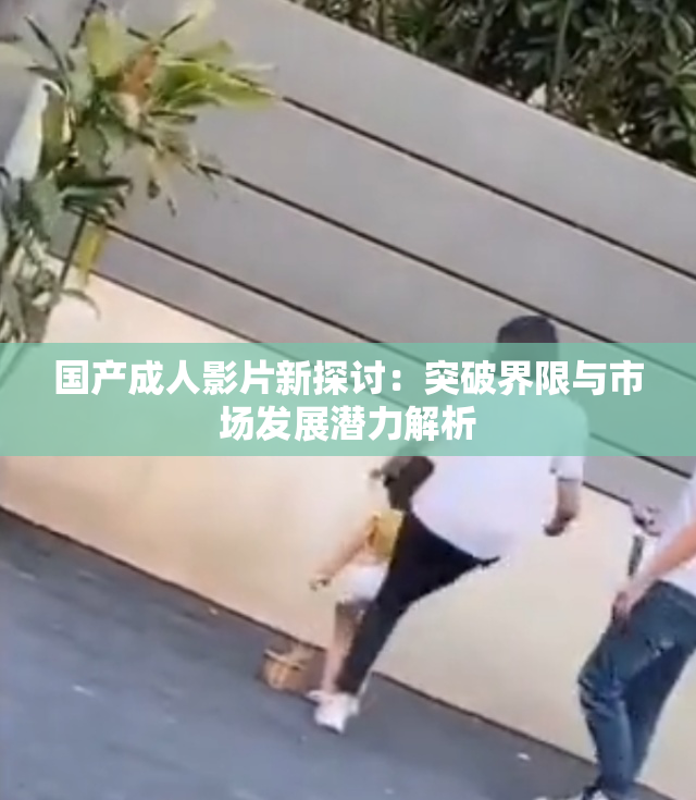 国产成人影片新探讨：突破界限与市场发展潜力解析
