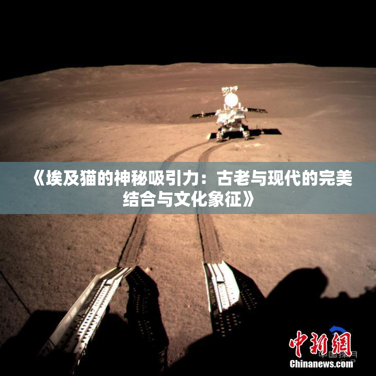 《埃及猫的神秘吸引力：古老与现代的完美结合与文化象征》
