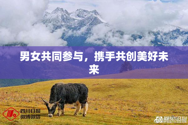 男女共同参与，携手共创美好未来