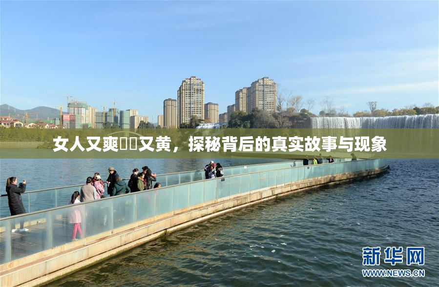 女人又爽❌‌又黄，探秘背后的真实故事与现象