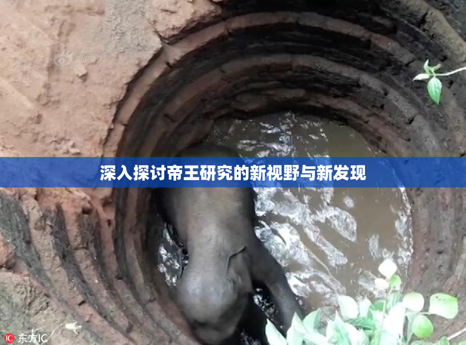 深入探讨帝王研究的新视野与新发现