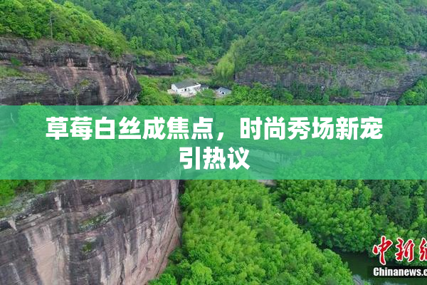 草莓白丝成焦点，时尚秀场新宠引热议