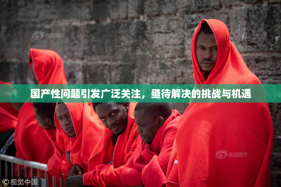 国产性问题引发广泛关注，亟待解决的挑战与机遇