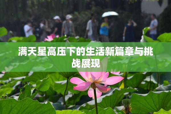 满天星高压下的生活新篇章与挑战展现