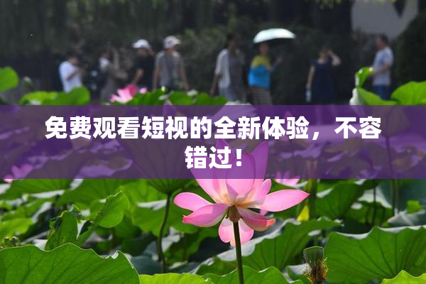 免费观看短视的全新体验，不容错过！