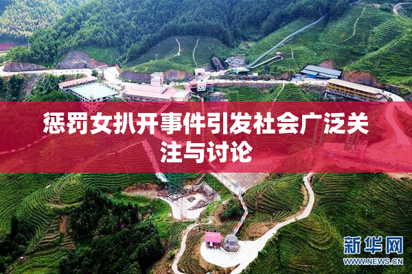 惩罚女扒开事件引发社会广泛关注与讨论