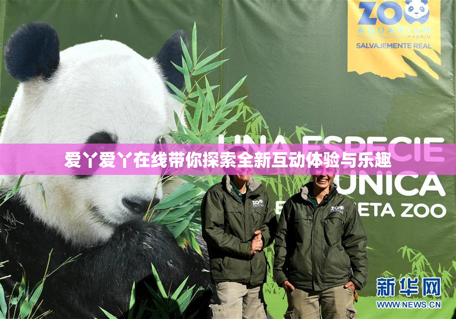 爱丫爱丫在线带你探索全新互动体验与乐趣