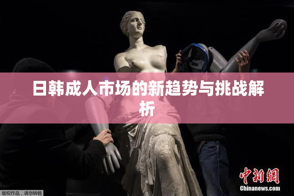 日韩成人市场的新趋势与挑战解析