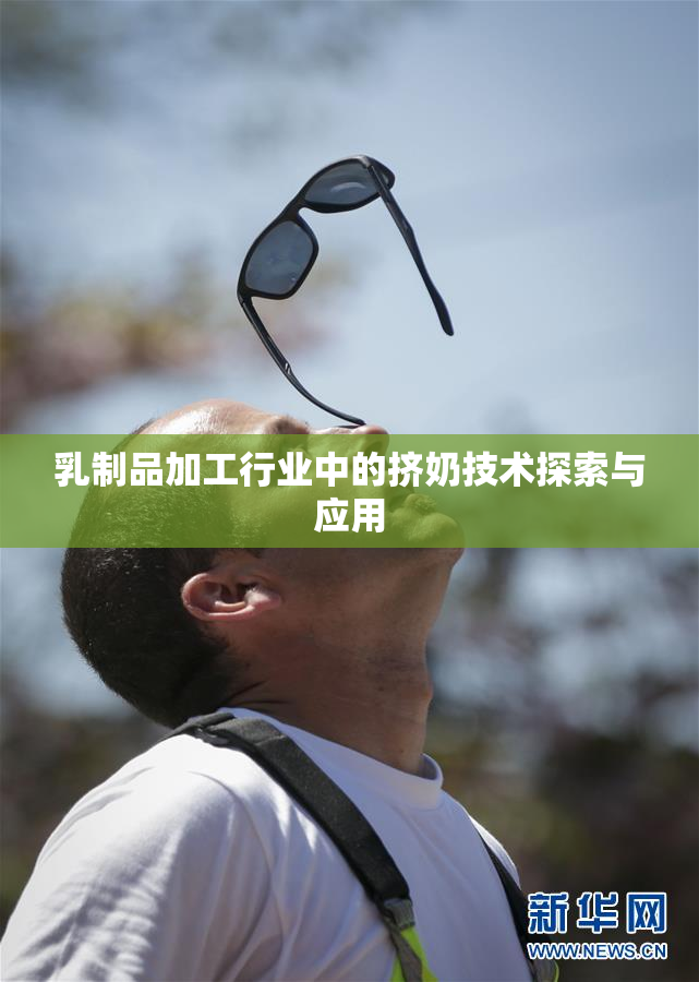 乳制品加工行业中的挤奶技术探索与应用