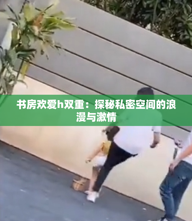 书房欢爱h双重：探秘私密空间的浪漫与激情