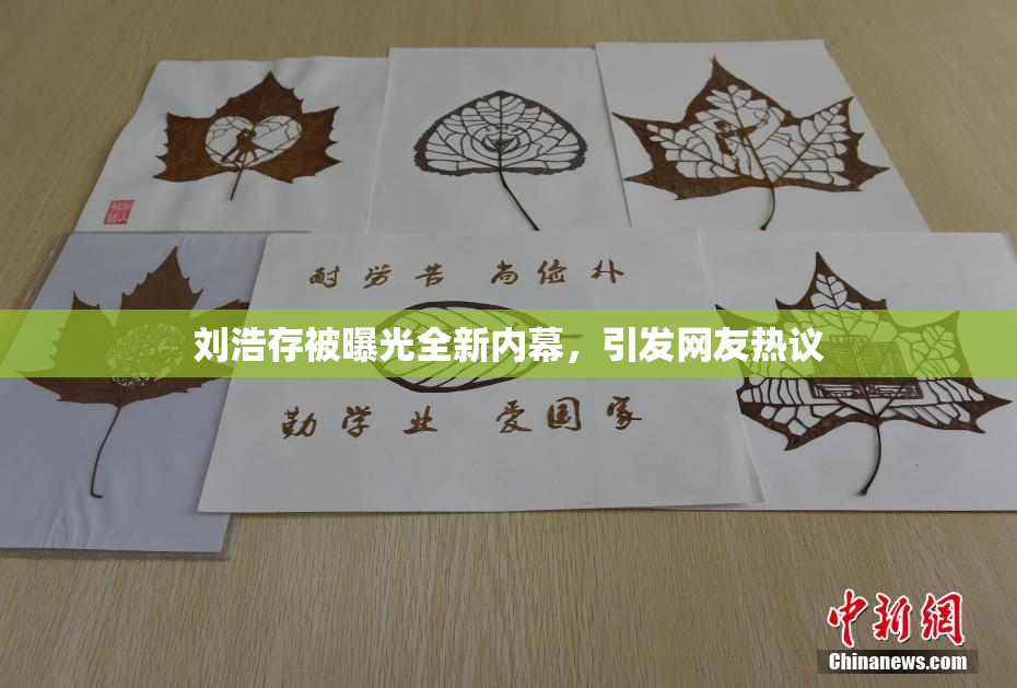 刘浩存被曝光全新内幕，引发网友热议