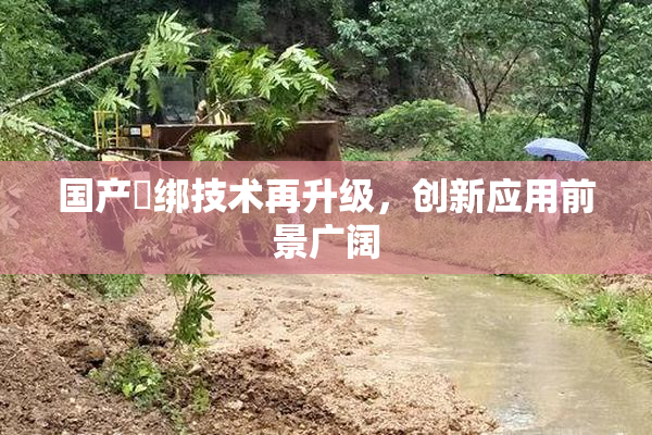 国产梱绑技术再升级，创新应用前景广阔
