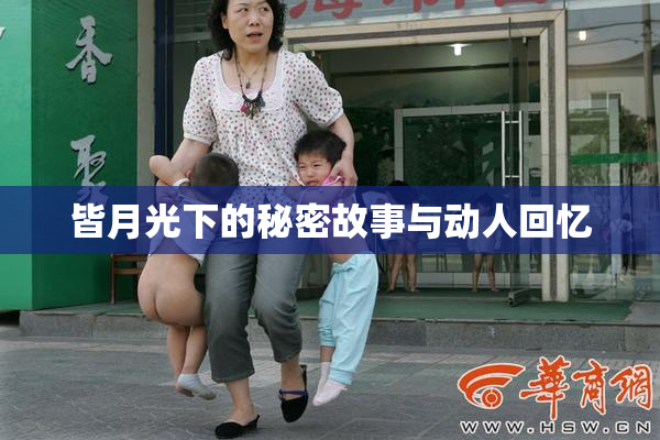 皆月光下的秘密故事与动人回忆