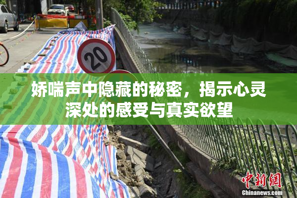 娇喘声中隐藏的秘密，揭示心灵深处的感受与真实欲望