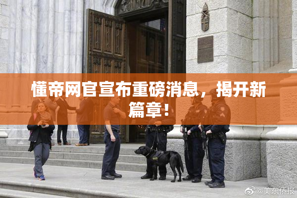 懂帝网官宣布重磅消息，揭开新篇章！
