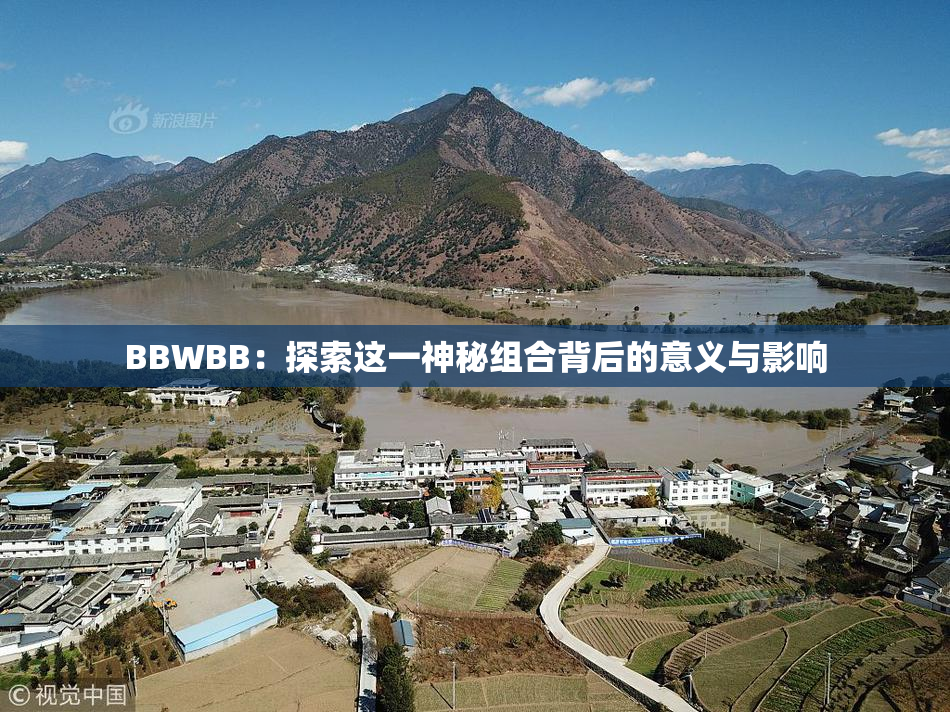 BBWBB：探索这一神秘组合背后的意义与影响