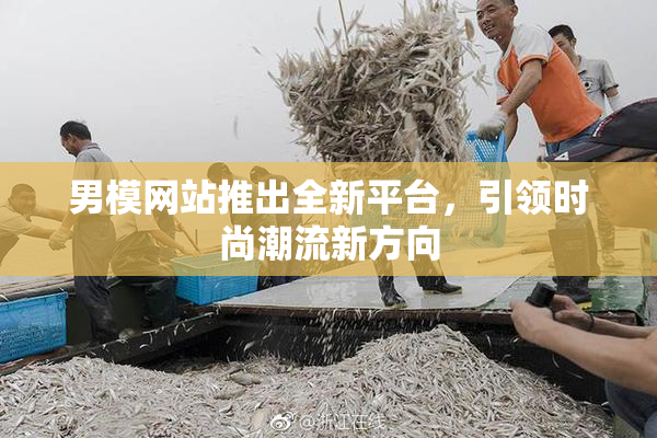 男模网站推出全新平台，引领时尚潮流新方向