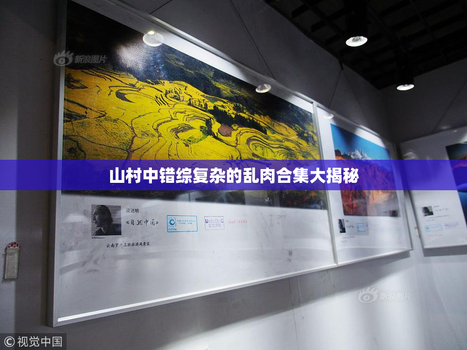 山村中错综复杂的乱肉合集大揭秘