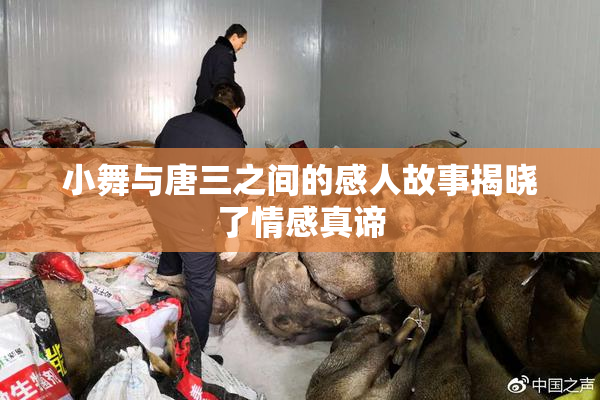 小舞与唐三之间的感人故事揭晓了情感真谛