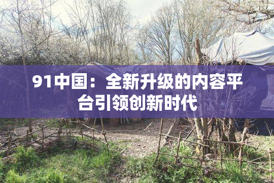 91中国：全新升级的内容平台引领创新时代