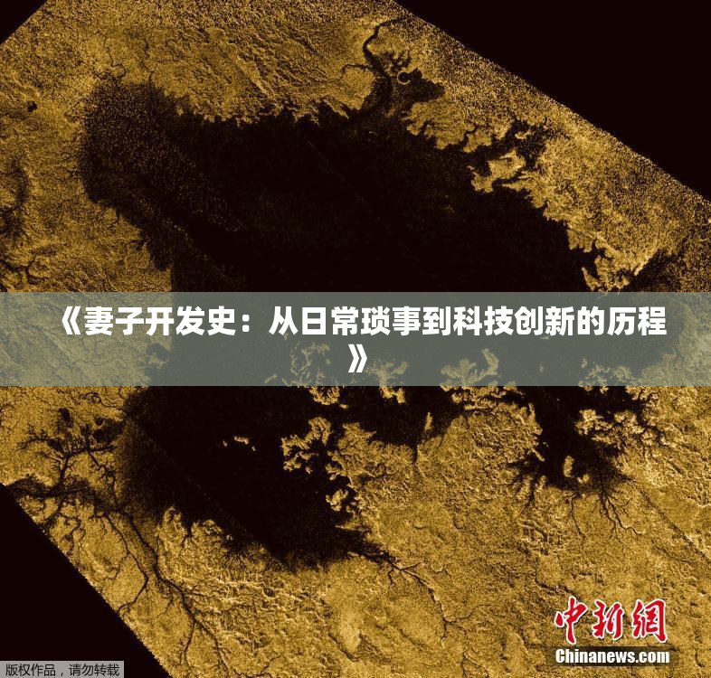《妻子开发史：从日常琐事到科技创新的历程》