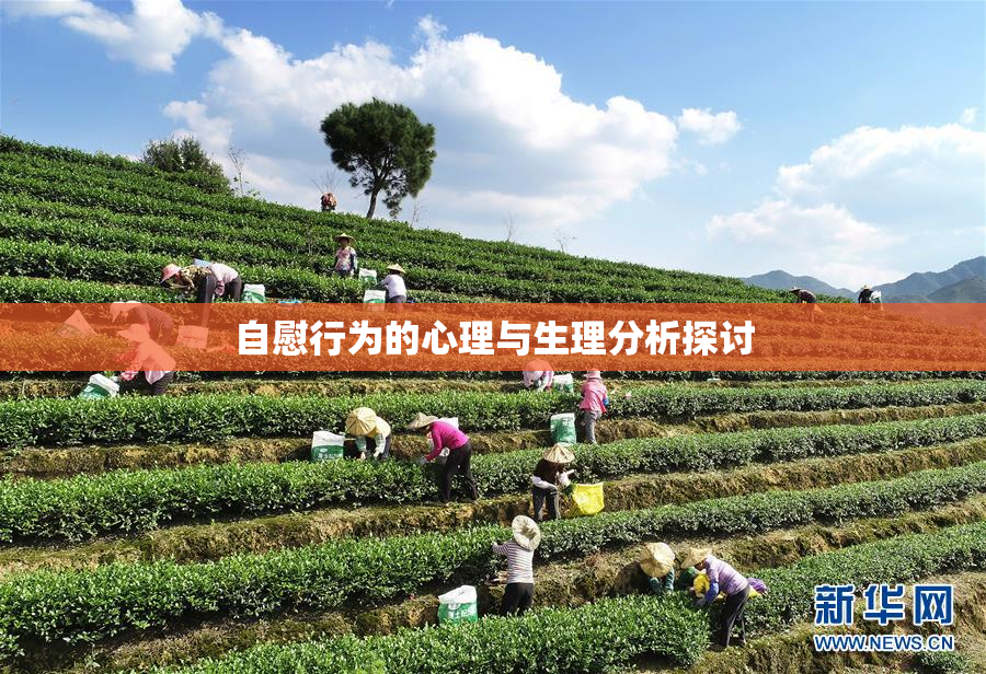 自慰行为的心理与生理分析探讨