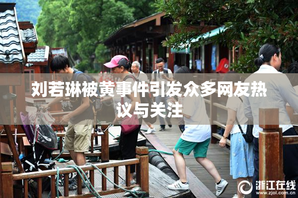 刘若琳被黄事件引发众多网友热议与关注