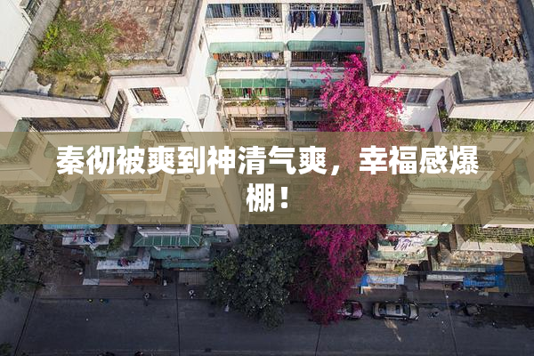 秦彻被爽到神清气爽，幸福感爆棚！