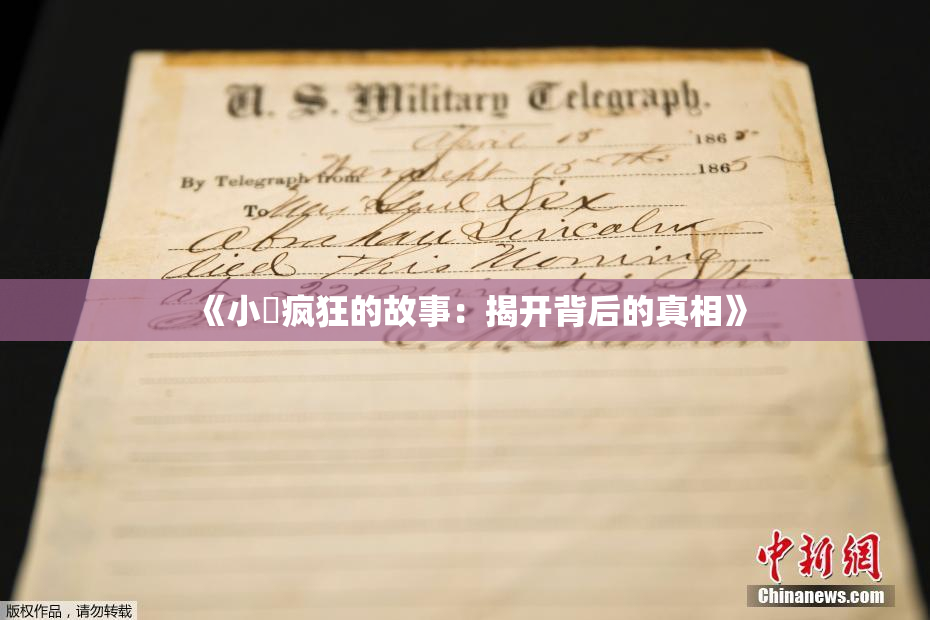 《小泬疯狂的故事：揭开背后的真相》