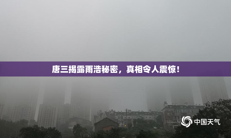 唐三揭露雨浩秘密，真相令人震惊！